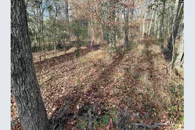 440 Paschal Road, Elgin, SC 29045 - Photo 17