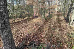 440 Paschal Rd, Elgin, SC 29045 - Photo 17