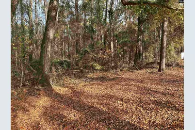 440 Paschal Road, Elgin, SC 29045 - Photo 5