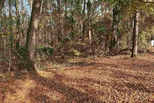 440 Paschal Rd, Elgin, SC 29045 - Photo 5