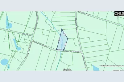 440 Paschal Road, Elgin, SC 29045 - Photo 9