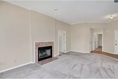 217 Timberlake Drive, Chapin, SC 29036 - Photo 3