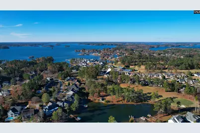 217 Timberlake Drive, Chapin, SC 29036 - Photo 43
