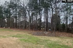 920 Ringbelle Row, Blythewood, SC 29016 - Photo 3