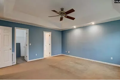 3 Tattlers Court, Irmo, SC 29063 - Photo 29