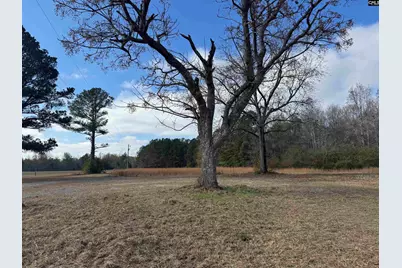 130 Willie Anderson Road, Hopkins, SC 29061 - Photo 3