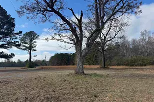 130 Willie Anderson Rd, Hopkins, SC 29061 - Photo 3