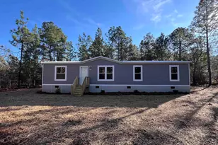 779 Thor Rd, Pelion, SC 29123 - Photo 1