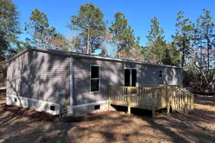 779 Thor Rd, Pelion, SC 29123 - Photo 3