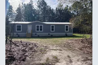 779 Thor Road, Pelion, SC 29123 - Photo 1