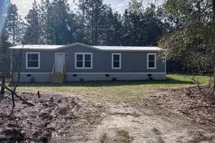 779 Thor Rd, Pelion, SC 29123 - Photo 1