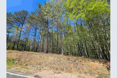 Lot 230 Granny Hill Road #230, Prosperity, SC 29172 - Photo 9