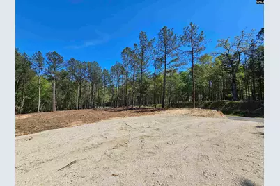 Lot 230 Granny Hill Road #230, Prosperity, SC 29172 - Photo 5