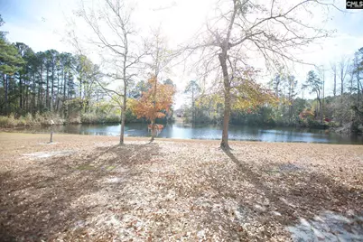 318 W Pond Court, Lexington, SC 29073 - Photo 21
