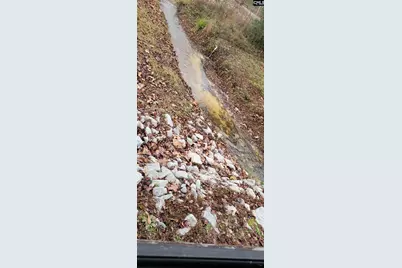 318 W Pond Court, Lexington, SC 29073 - Photo 15