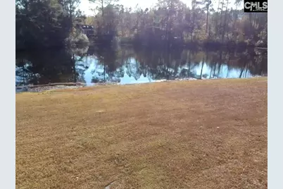 318 W Pond Court, Lexington, SC 29073 - Photo 19