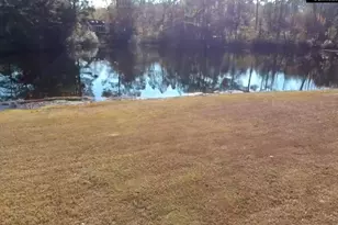 318 W Pond Ct, Lexington, SC 29073 - Photo 19