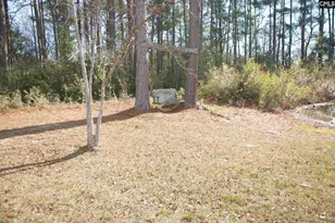 318 W Pond Ct, Lexington, SC 29073 - Photo 23