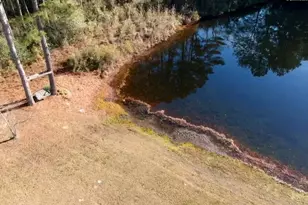 318 W Pond Ct, Lexington, SC 29073 - Photo 17