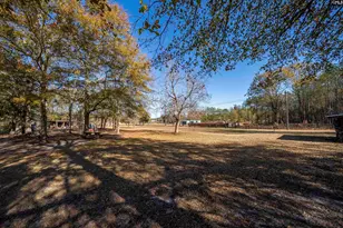 124 Mt Pilgrim Church Rd, Columbia, SC 29223 - Photo 41