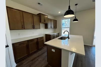 582 Griffon Drive, Chapin, SC 29036 - Photo 7