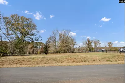 0 Woodside Shores Drive Lot #247, Prosperity, SC 29127 - Photo 5