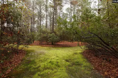 6447 Neeses Highway, Neeses, SC 29107 - Photo 67