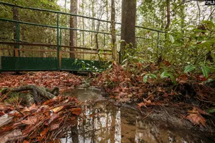 6447 Neeses Hwy, Neeses, SC 29107 - Photo 89