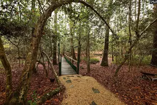 6447 Neeses Hwy, Neeses, SC 29107 - Photo 73