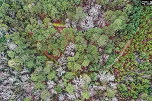 6447 Neeses Hwy, Neeses, SC 29107 - Photo 7