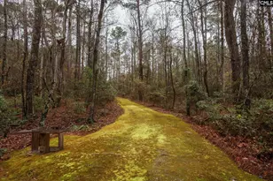 6447 Neeses Hwy, Neeses, SC 29107 - Photo 81