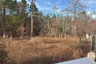 1702 McNaughton Rd, Kershaw, SC 29067 - Photo 11