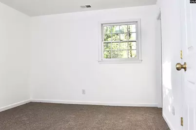 113 Sonning Road, Irmo, SC 29063 - Photo 31