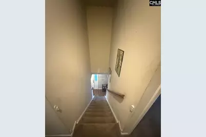 1009 Sweet Thorne Court, Irmo, SC 29063 - Photo 37