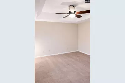 1009 Sweet Thorne Court, Irmo, SC 29063 - Photo 19