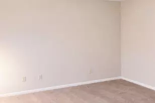 1009 Sweet Thorne Ct, Irmo, SC 29063 - Photo 19