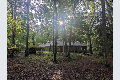 779 Hope Ferry Road, Lexington, SC 29072 - Photo 3