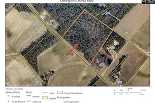 Tbd Old Charleston Rd, Pelion, SC 29123 - Photo 1