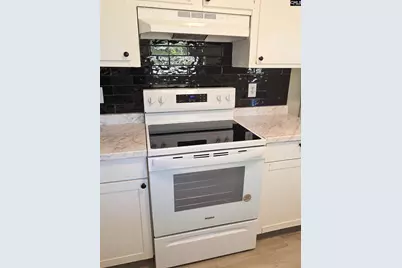 250 Dyson Street, Manning, SC 29102 - Photo 9