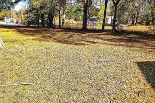 250 Dyson St, Manning, SC 29102 - Photo 13