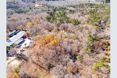 3 Dennis Lane, Blythewood, SC 29016 - Photo 55