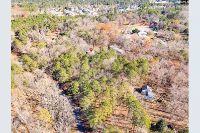 3 Dennis Lane, Blythewood, SC 29016 - Photo 57