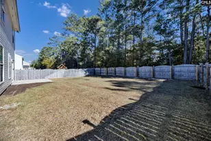 1175 Grey Pine Dr, Blythewood, SC 29016 - Photo 41