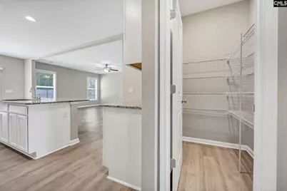 1175 Grey  Pine Drive, Blythewood, SC 29016 - Photo 7