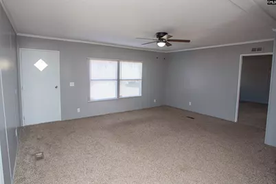 117 Chewning Road, Bishopville, SC 29010 - Photo 5