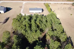 117 Chewning Rd, Bishopville, SC 29010 - Photo 31