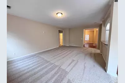 233 Kenmore Park Drive, Columbia, SC 29223 - Photo 17