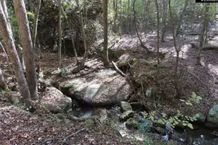 2137 Heritage Rd, Blackstock, SC 29055 - Photo 27