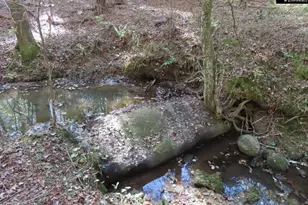 2137 Heritage Rd, Blackstock, SC 29055 - Photo 3