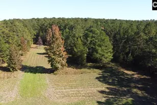 2137 Heritage Rd, Blackstock, SC 29055 - Photo 11